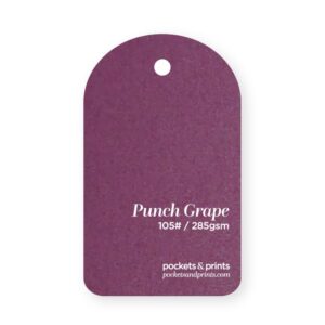 Punch-Grape Stardream Swatch